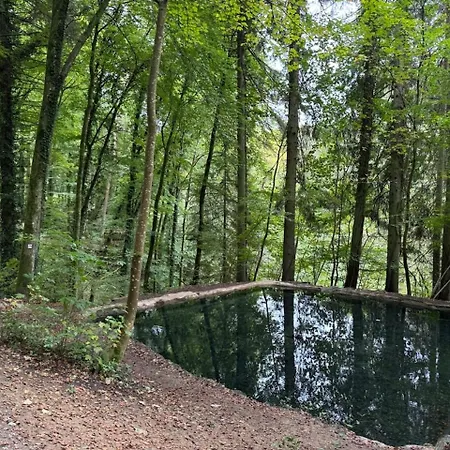 Hinkelshof - Als - Selbstversorgerkueche & Aufenthaltsraeume - Suedeifel, Mullerthal, Vianden * Korperich