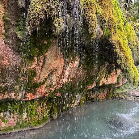 Appartement Hinkelshof - Als - Selbstversorgerkueche & Aufenthaltsraeume - Suedeifel, Mullerthal, Vianden Korperich
