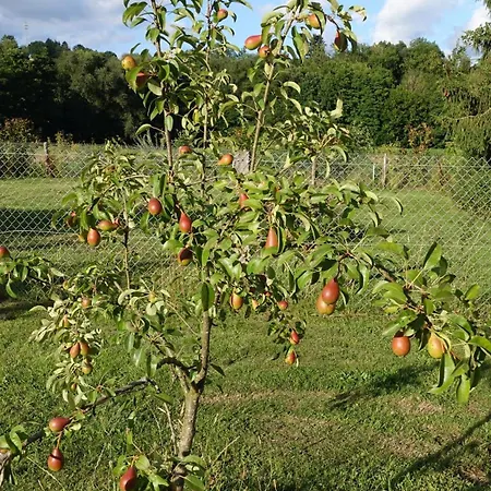 Appartement Hinkelshof - Als - Selbstversorgerkueche & Aufenthaltsraeume - Suedeifel, Mullerthal, Vianden