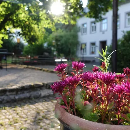 Apartment Hinkelshof - Als - Selbstversorgerküche&aufenthaltsräume - Südeifel, Mullerthal, Vianden Korperich