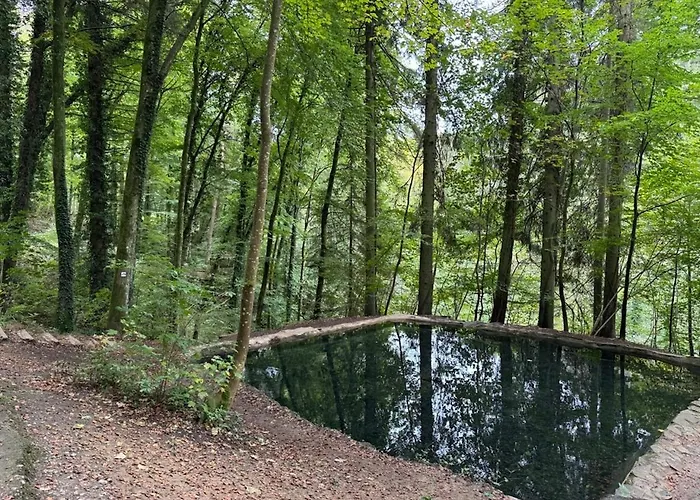 Hinkelshof - Als - Selbstversorgerkueche & Aufenthaltsraeume - Suedeifel, Mullerthal, Vianden * Korperich