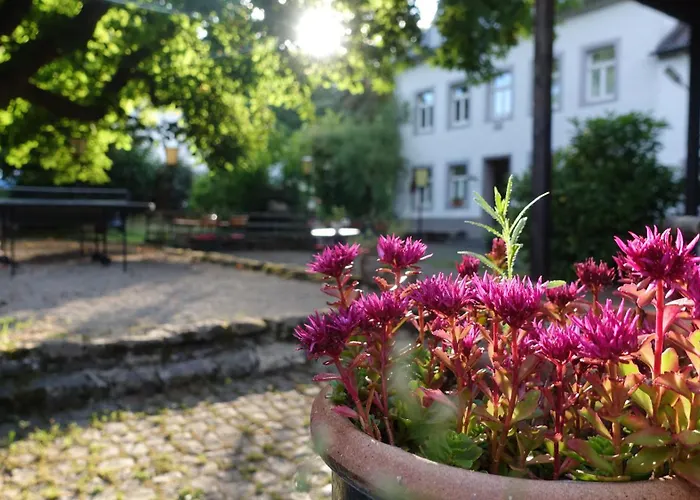 Apartamento Hinkelshof - Als - Selbstversorgerkueche & Aufenthaltsraeume - Suedeifel, Mullerthal, Vianden Korperich