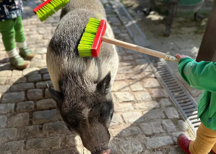 Apartamento Hinkelshof - Als - Selbstversorgerkueche & Aufenthaltsraeume - Suedeifel, Mullerthal, Vianden Korperich